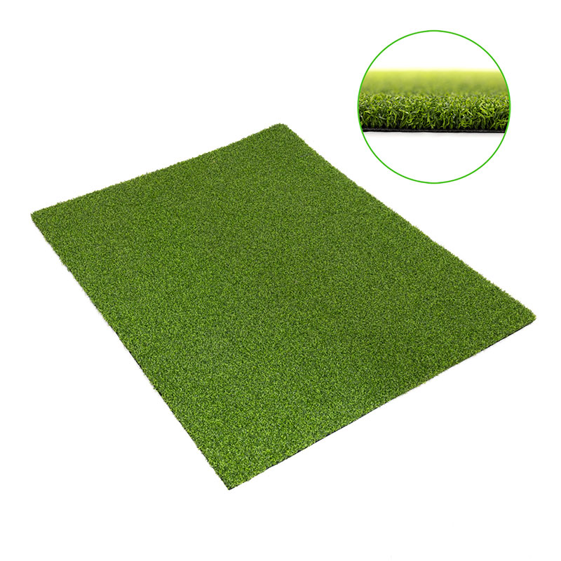 Sport Grass