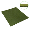 Sport Grass