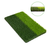 Sport Grass