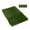 Landcscaping Grass