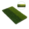 Sport Grass