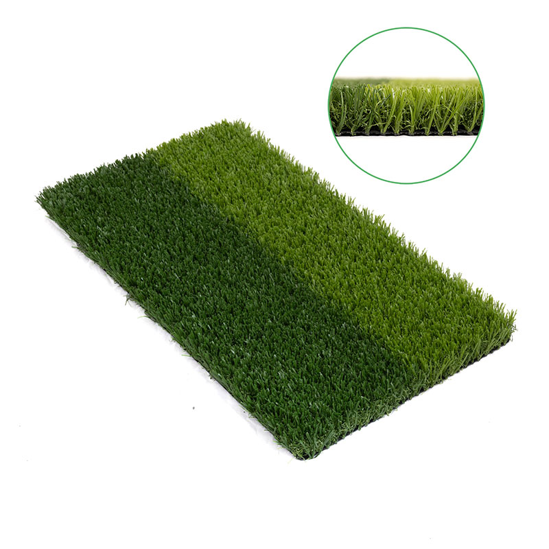 Sport Grass