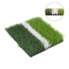 Sport Grass