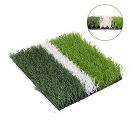 Sport Grass