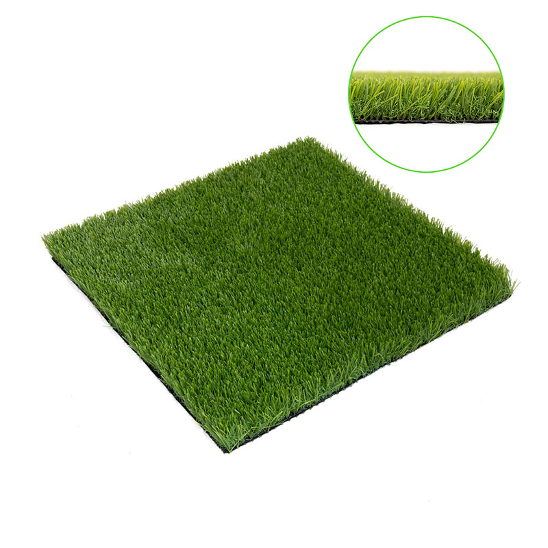 Landcscaping Grass