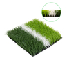 Sport Grass